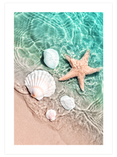 Deniz Yıldızı - Art Print